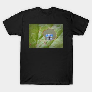 Common Blue Damselfly Looking through a Hole in a Leaf T-Shirt